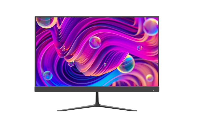 Monitor HIKVISION DS-D5024F2-BV2
